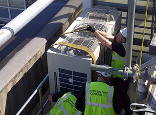 roof plant new 4_tcm636-373670.jpg roof plant new 4_tcm636-373670.jpg